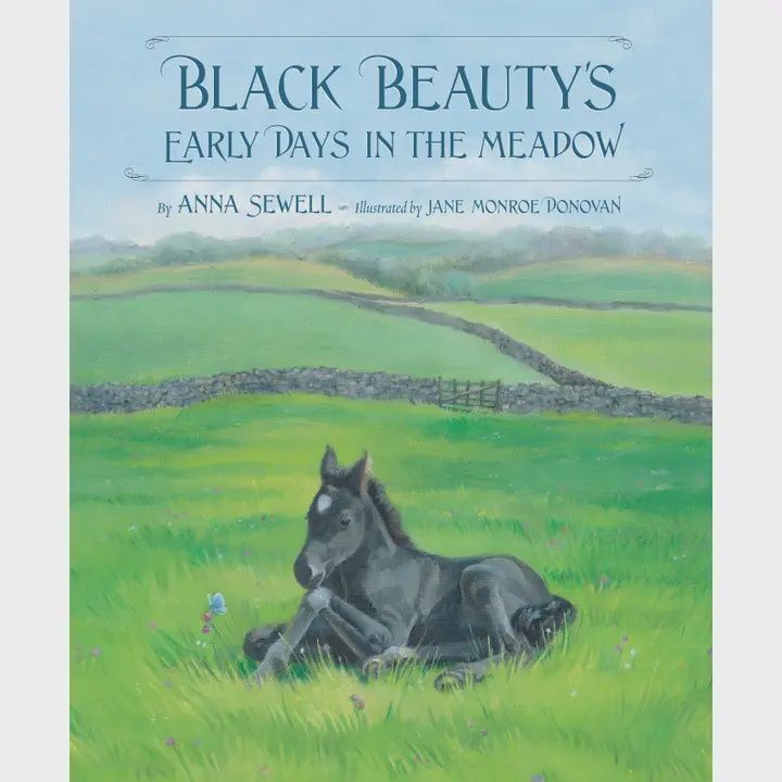 Black Beauty&#39;s Early Days in the Meadow - Picture Book