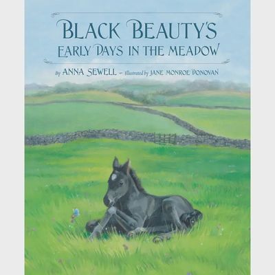 Black Beauty&#39;s Early Days in the Meadow - Picture Book