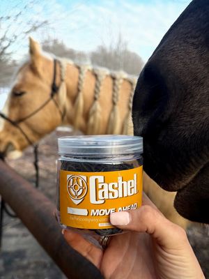 Rubber Braiding Bands (800ct)