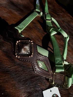 Bronc Halter - Lime