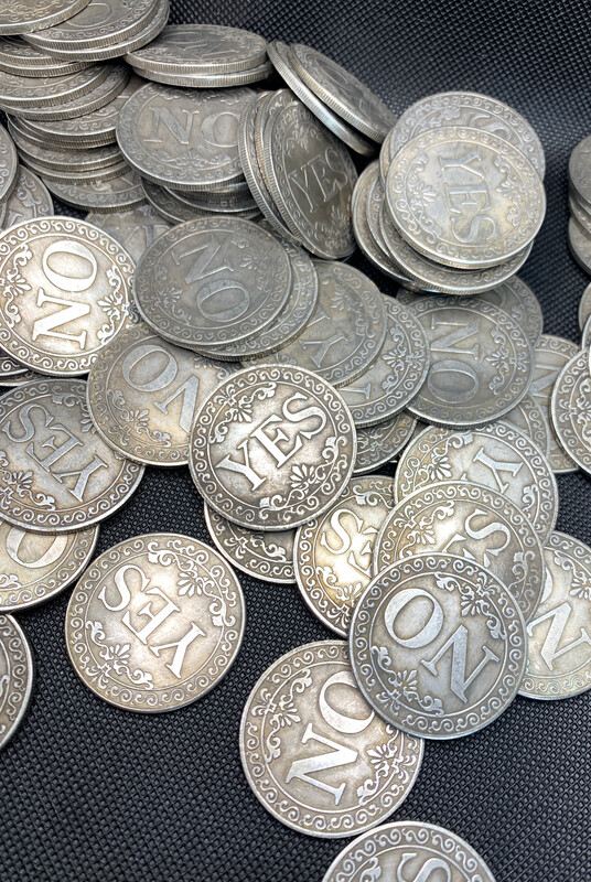 D2 Yes & No Decision Coin