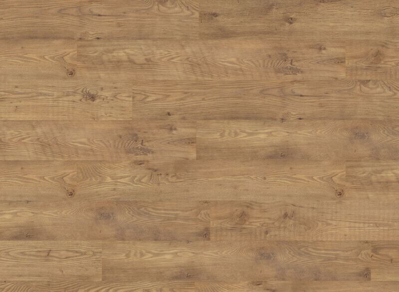 Tawny Chestnut