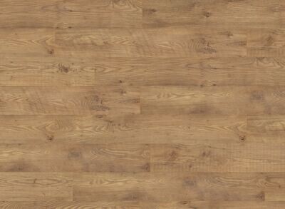 Tawny Chestnut