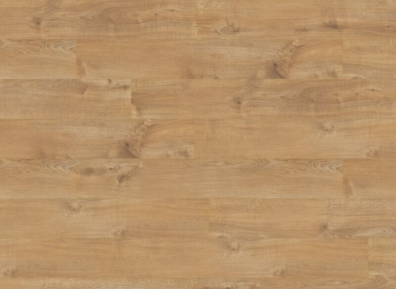 Sherwood Oak