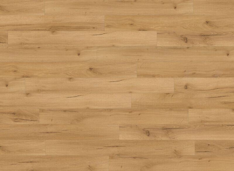 Oak Robut Natural JNR