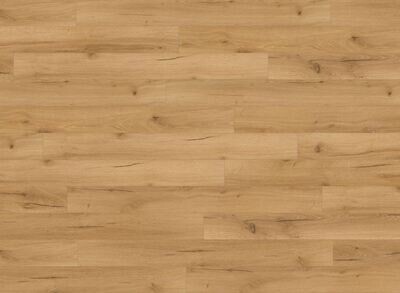 Oak Robut Natural JNR