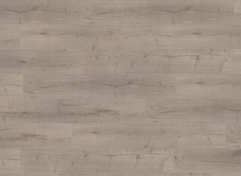 Oak Robust Gray