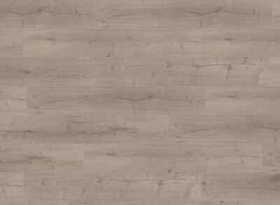 Oak Robust Gray