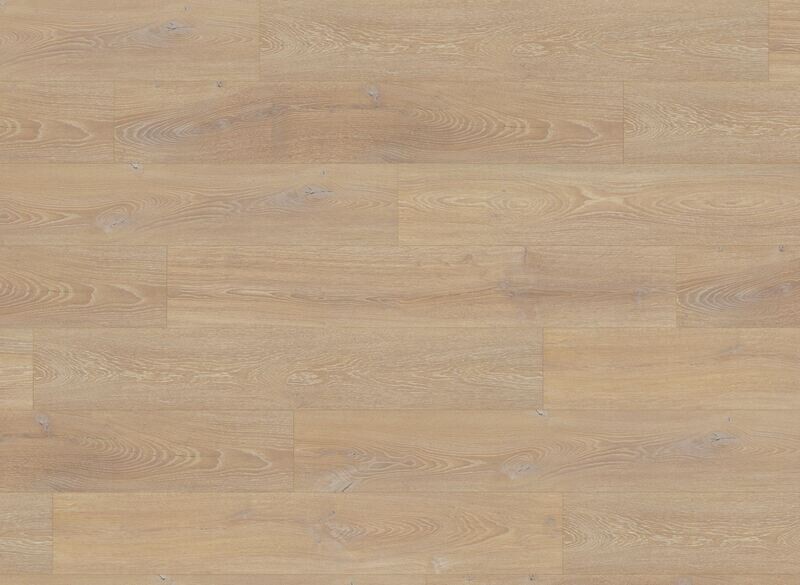 Desert Oak