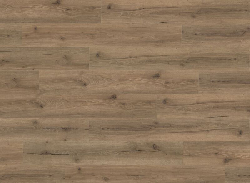 Mocha Oak