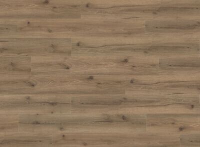 Mocha Oak