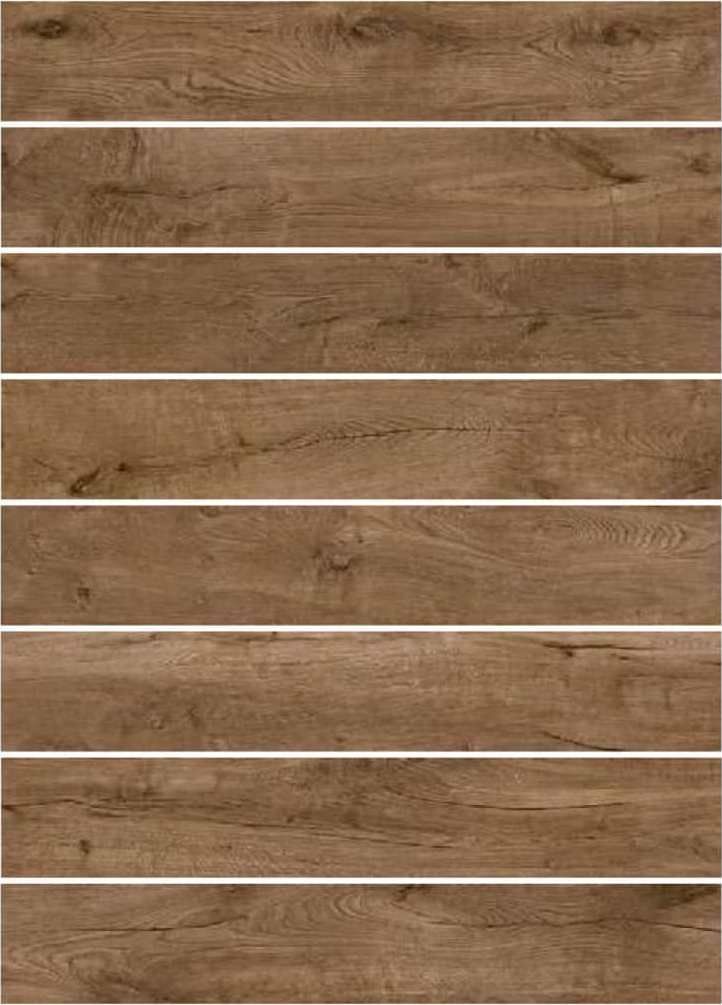 Tempo Walnut