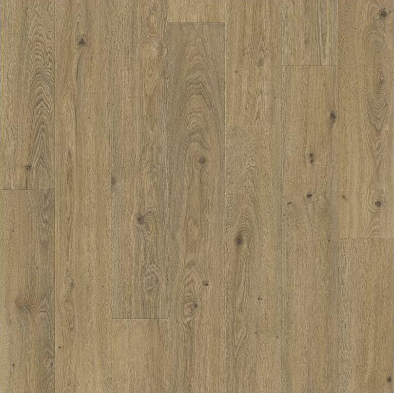 Odense Beaufort Oak