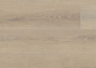Seashell Oak