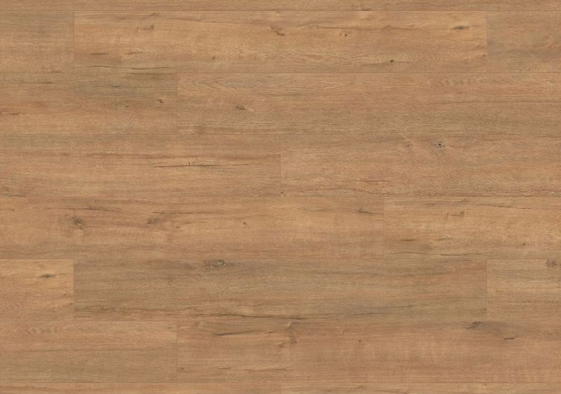 Gold Apollo Oak
