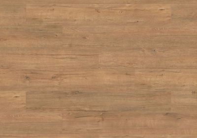 Gold Apollo Oak