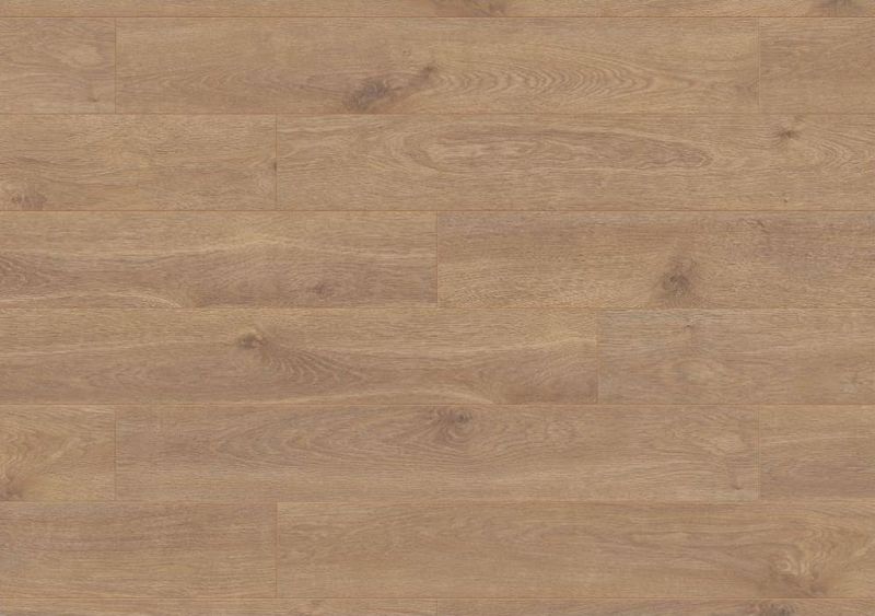 Solar Oak