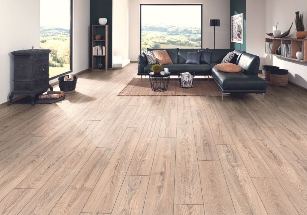 Mushroom Carpenter Oak