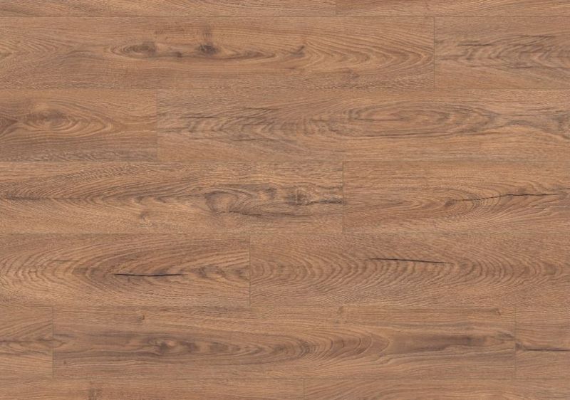 Inca Carpenter Oak