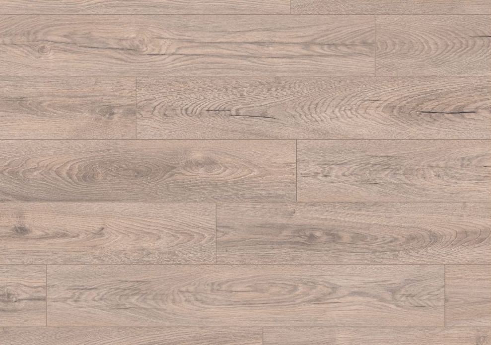 Mushroom Carpenter Oak