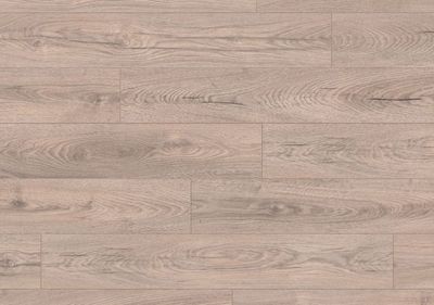 Mushroom Carpenter Oak