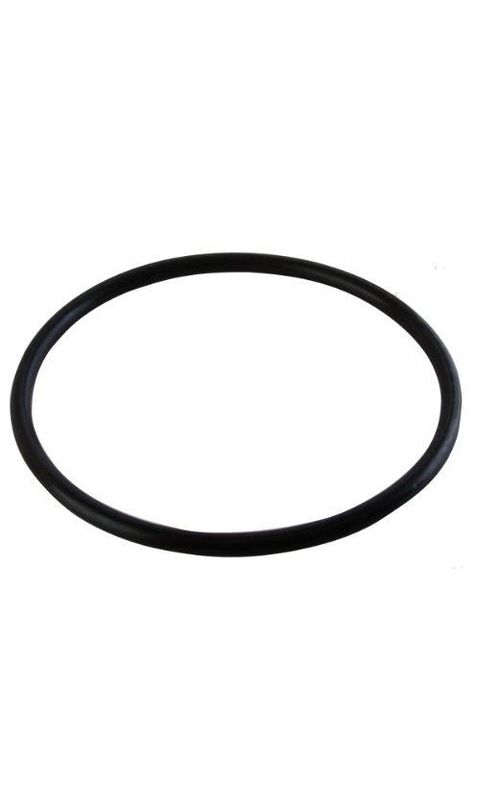 Hayward Chlorinator Cover O-Ring