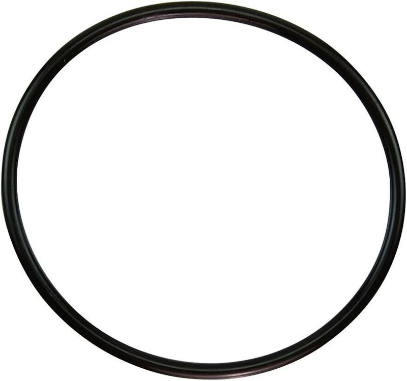 Pentair 350013 Lid O-Ring Replacement Pool and Spa Pump