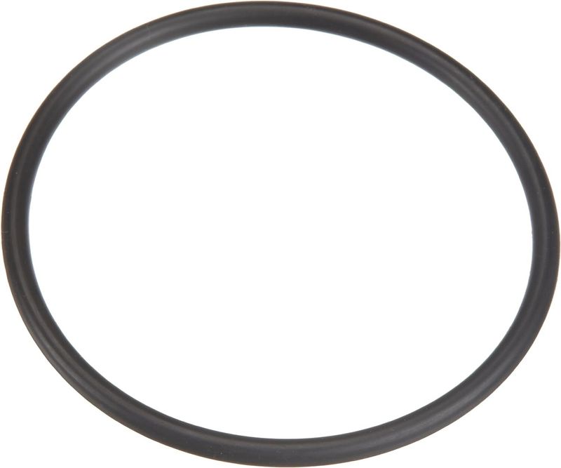 Pentair 35505-1425 O-Ring for Bulkhead Assembly