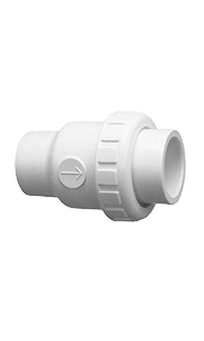 Praher 2" Single Union Check Valve