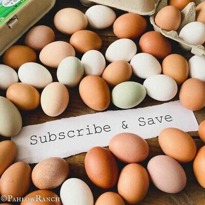 Pastured Chicken Eggs Subscription