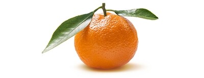 Lebanese Clementine