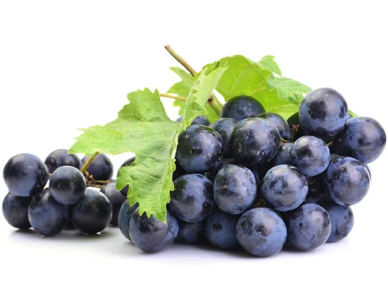 Lebanese Black Grapes