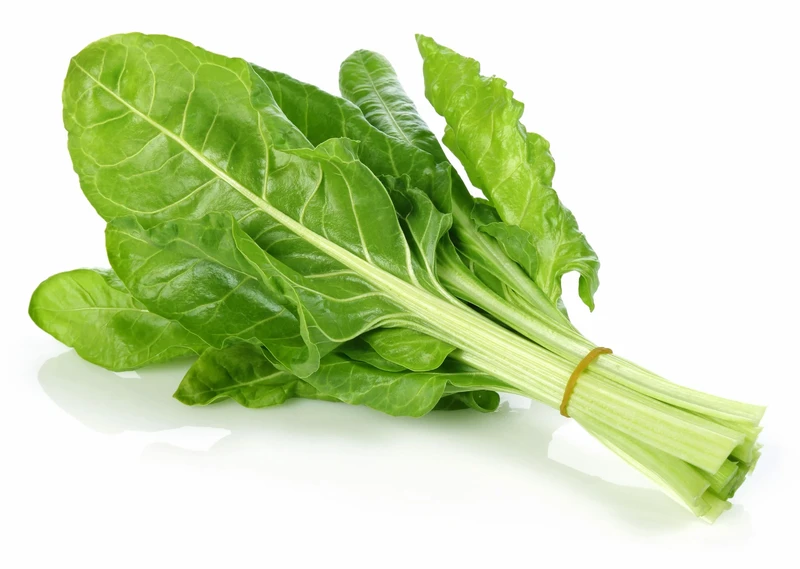 Lebanese Swiss Chard
