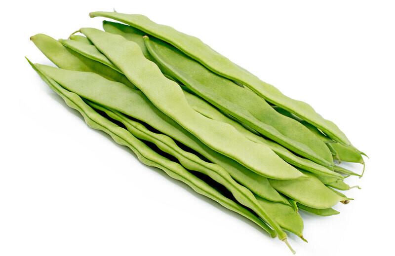 Flat Beans Loubyeh