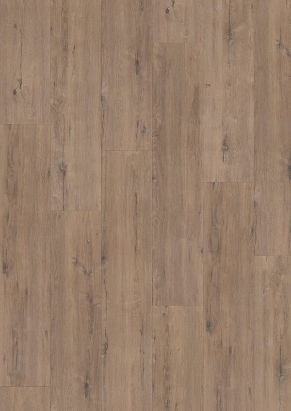 Hoomline Elite XL V4 Schelde 60902