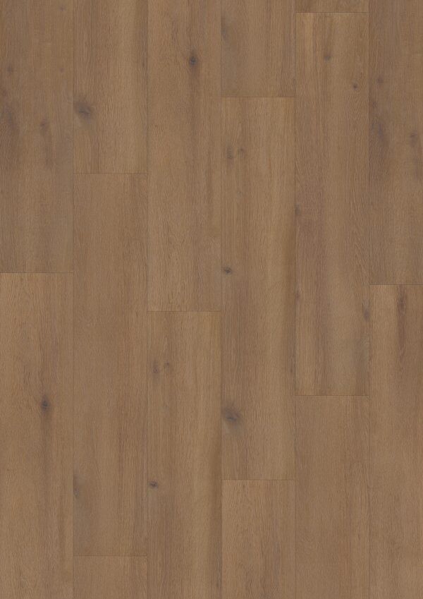 Laminaat Hoomline Elite XL V4 Waal 6079 - AQUA