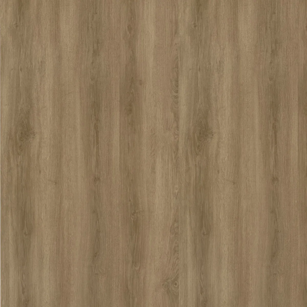 Colosseum Laminaat Palermo 8mm/4V - NR 10A