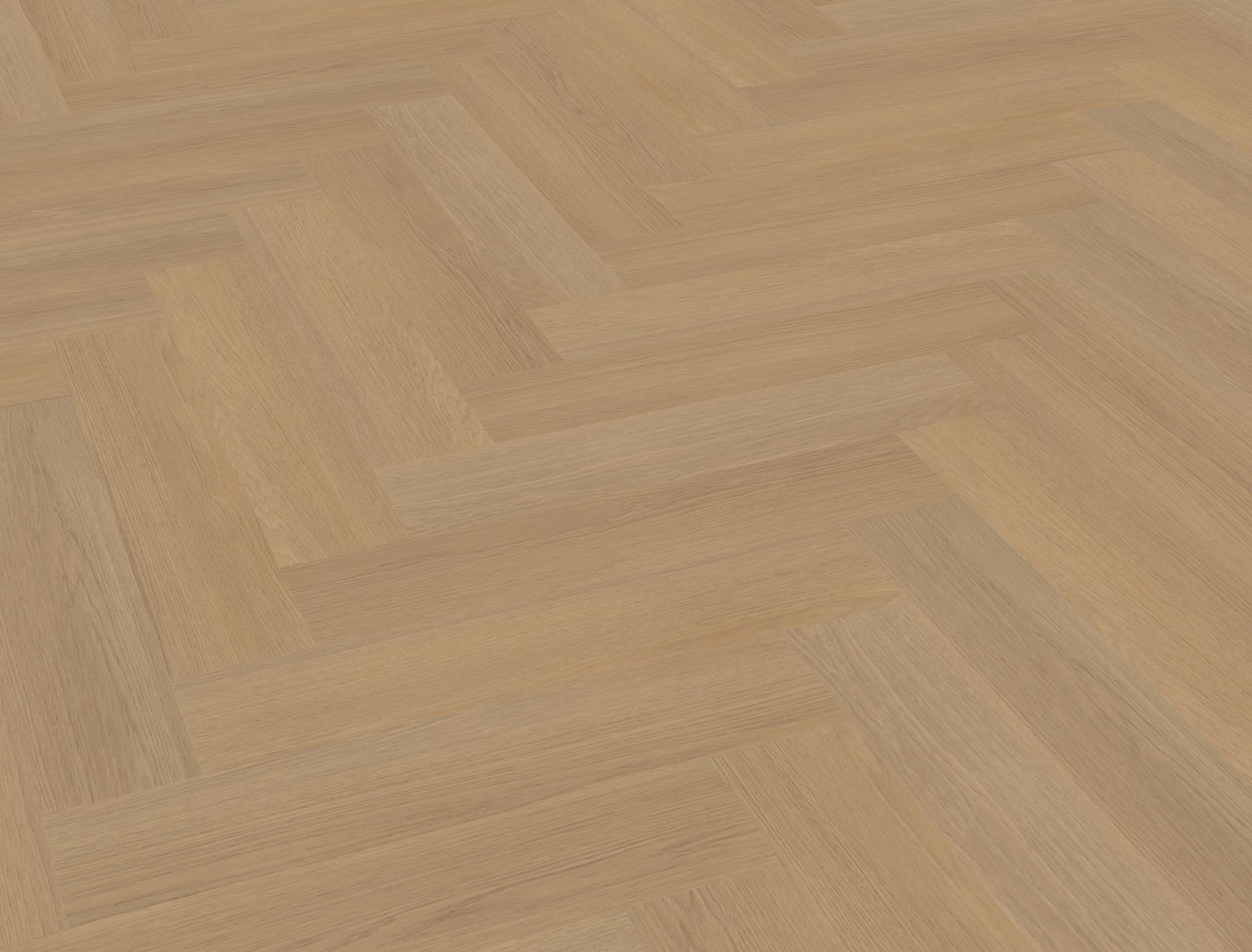 belakos PVC Futuro visgraat XL 50