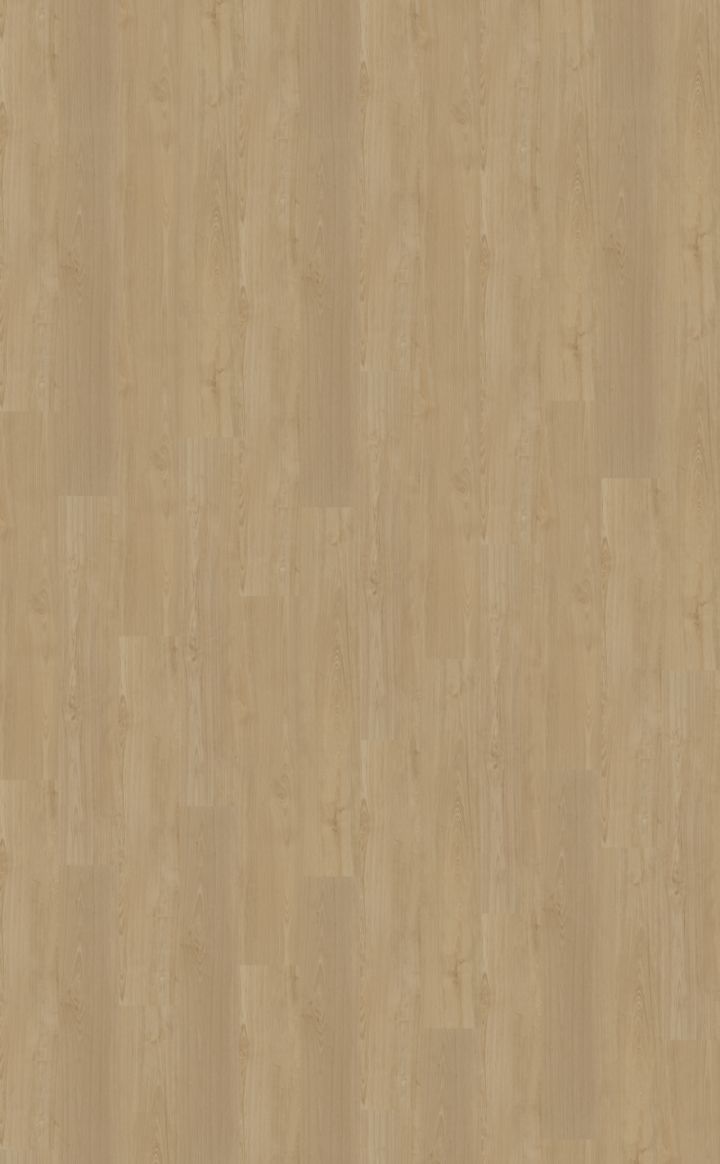 belakos PVC Portico 560 - Plank belakos PVC Portico 560 - Plank