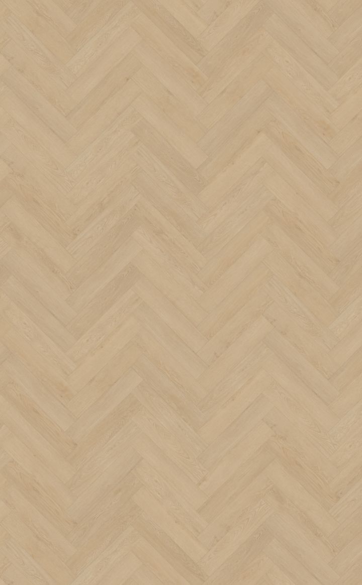 belakos - Monastro visgraat XL 92