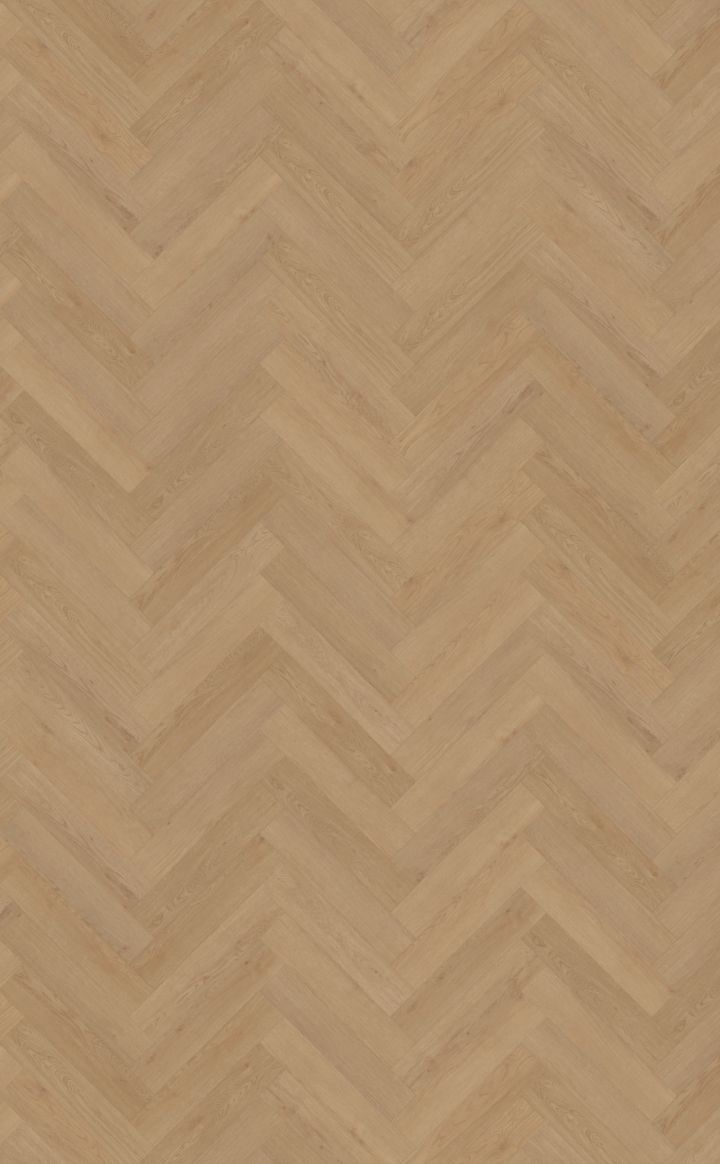 ​belakos - Monastro visgraat XL 93