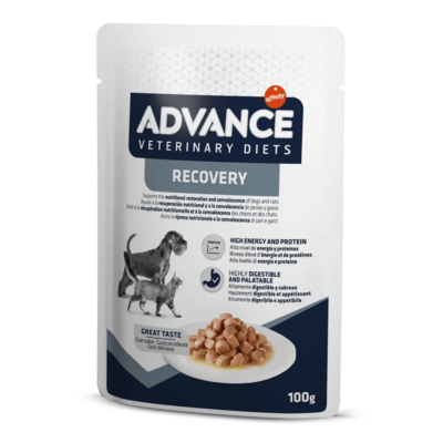 ADVANCE COMIDA HUMEDA RECOVERY   1,1 Kg