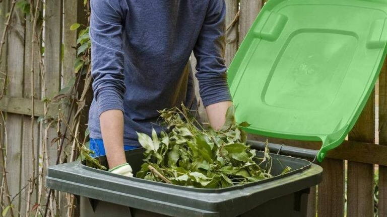 Best Green Waste Removal Solutions