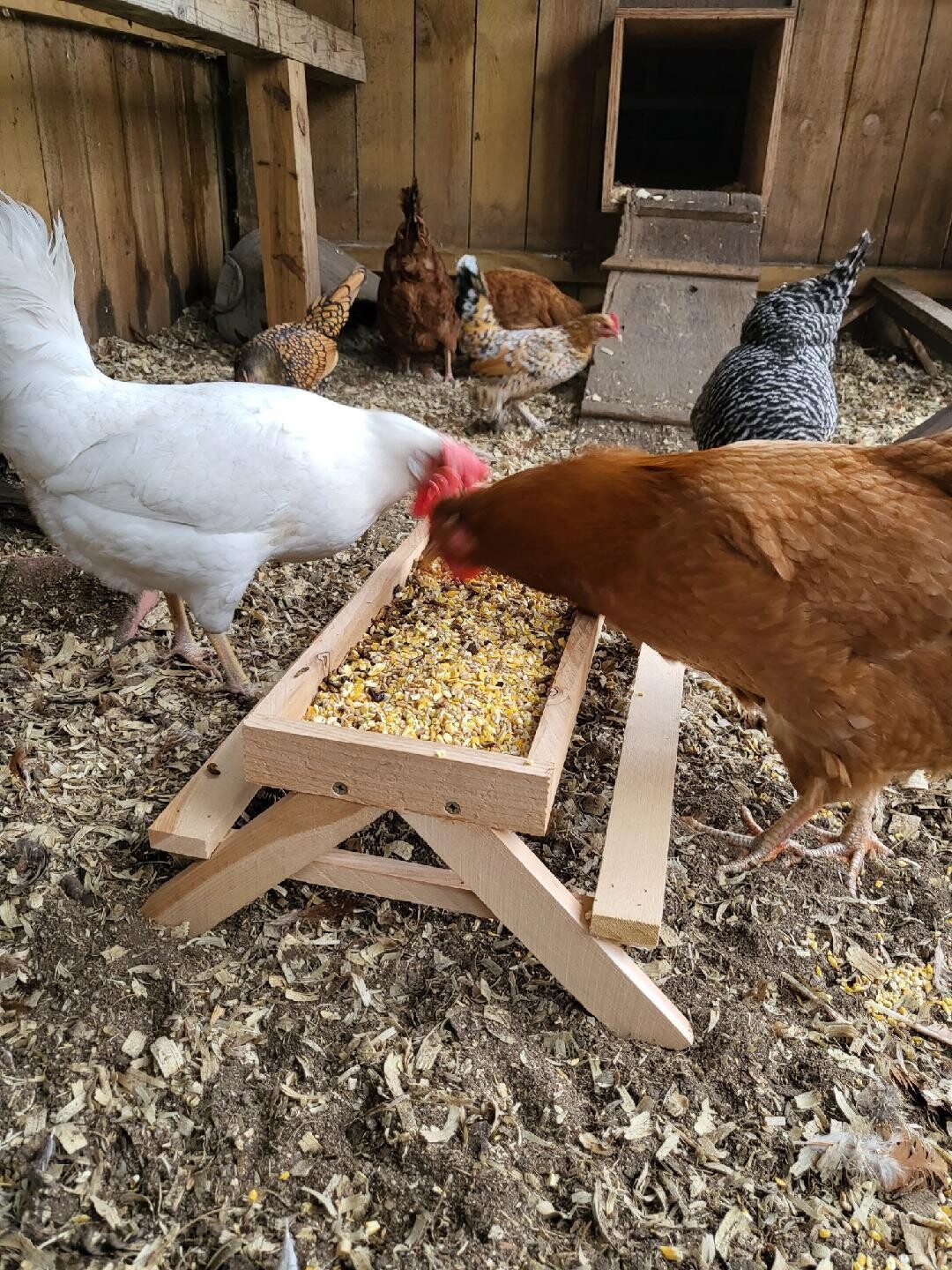 Chicnic Table