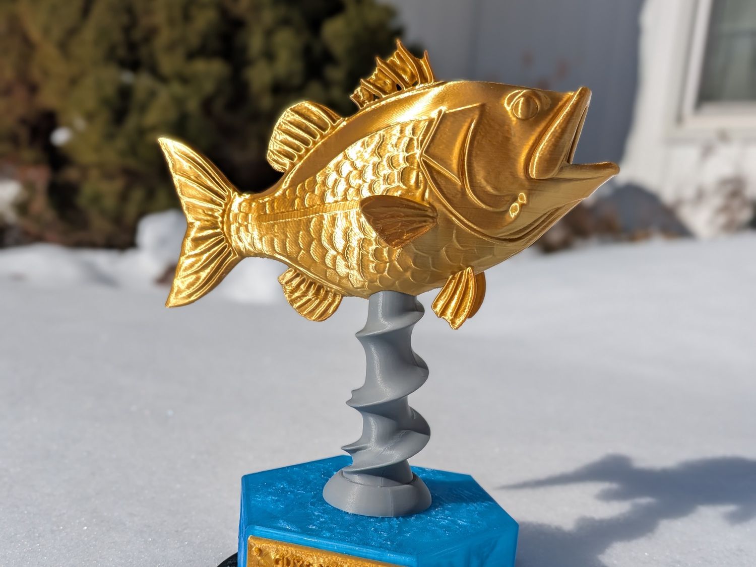Biggest Catch Trophy