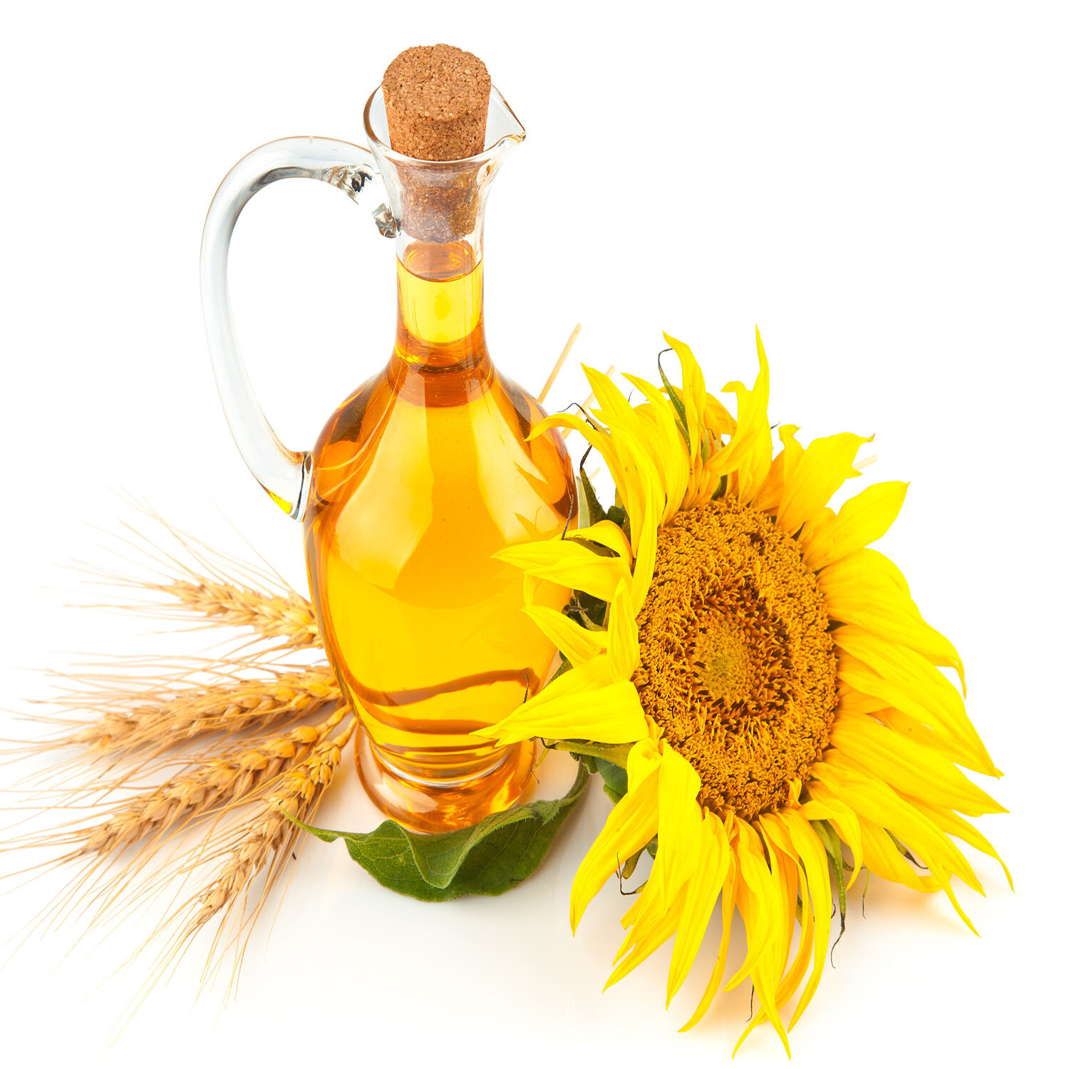 Sunflower Oil