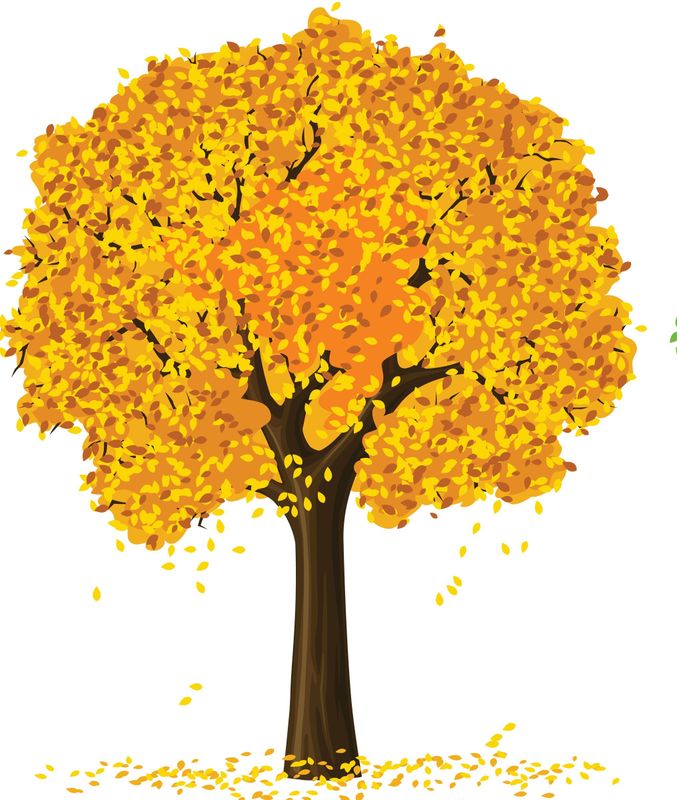 International Meal Prep