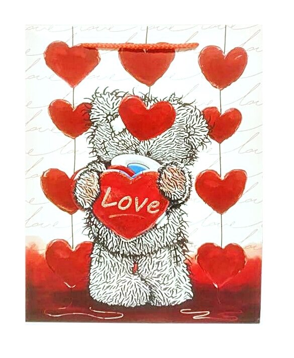 Love Teddy  Large Gift Bag PK3 (R19.50 Each)