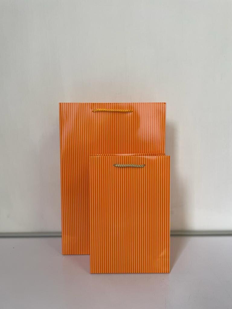 Orange with White Lines Medium Gift Bag
