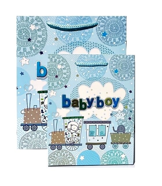 3D Baby Boy Train Medium Gift Bag PK3 (R15.50 Each)